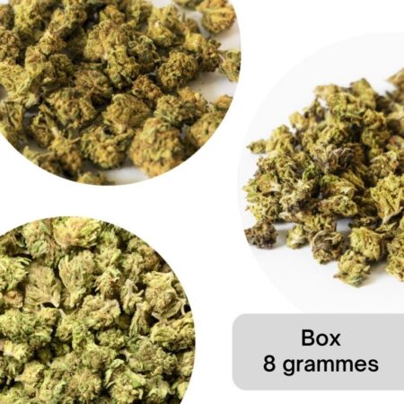 Box small bud découverte 8 grammes