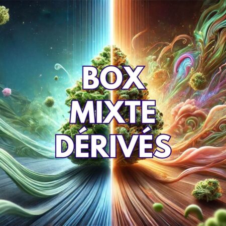 box mixte dérivé